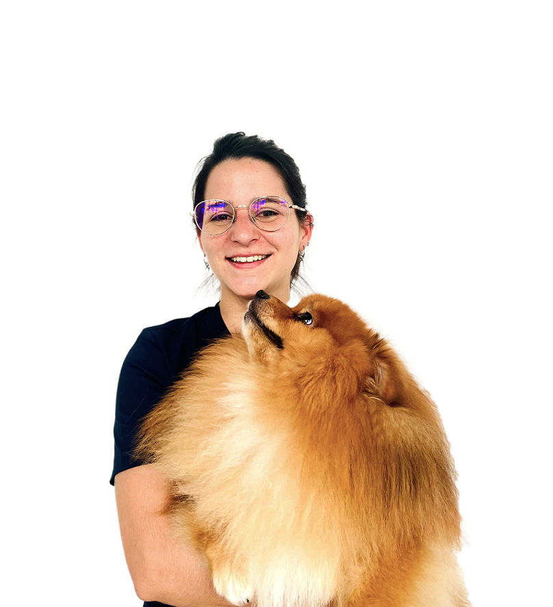 Pet Vaccination Services