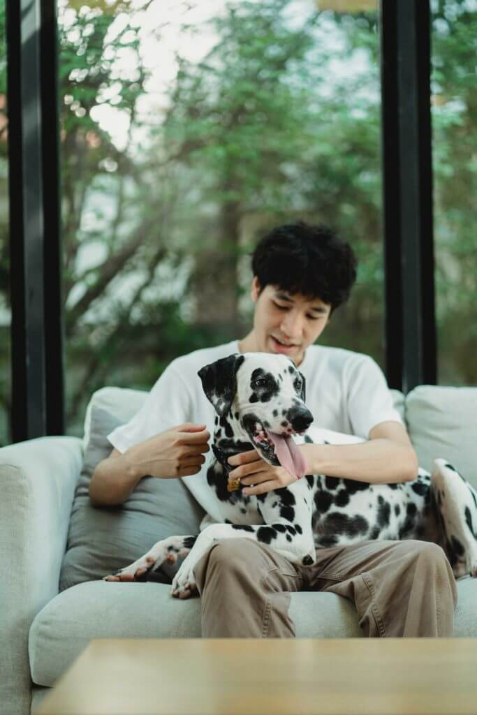 Pet Health Check
