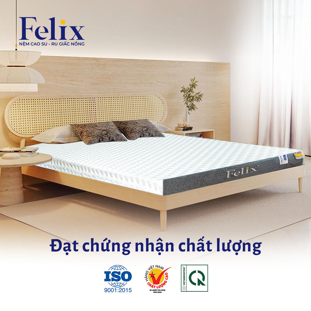 thị trường nệm Việt Nam