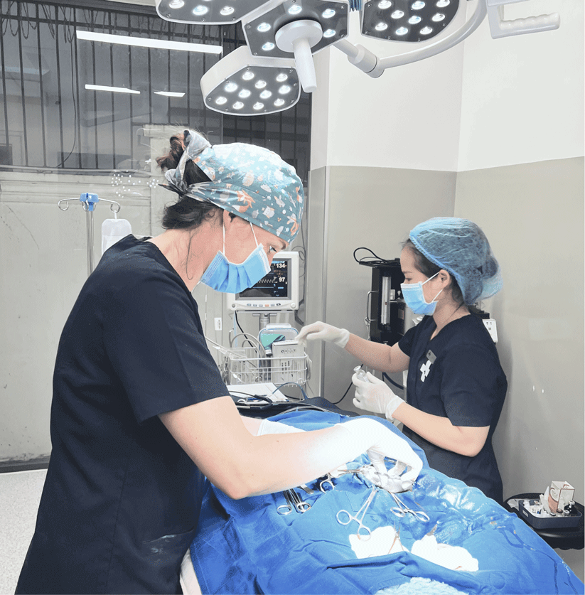 Pet vaccination services